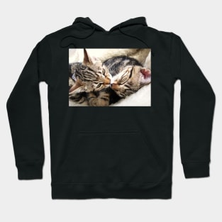 Kisses Hoodie